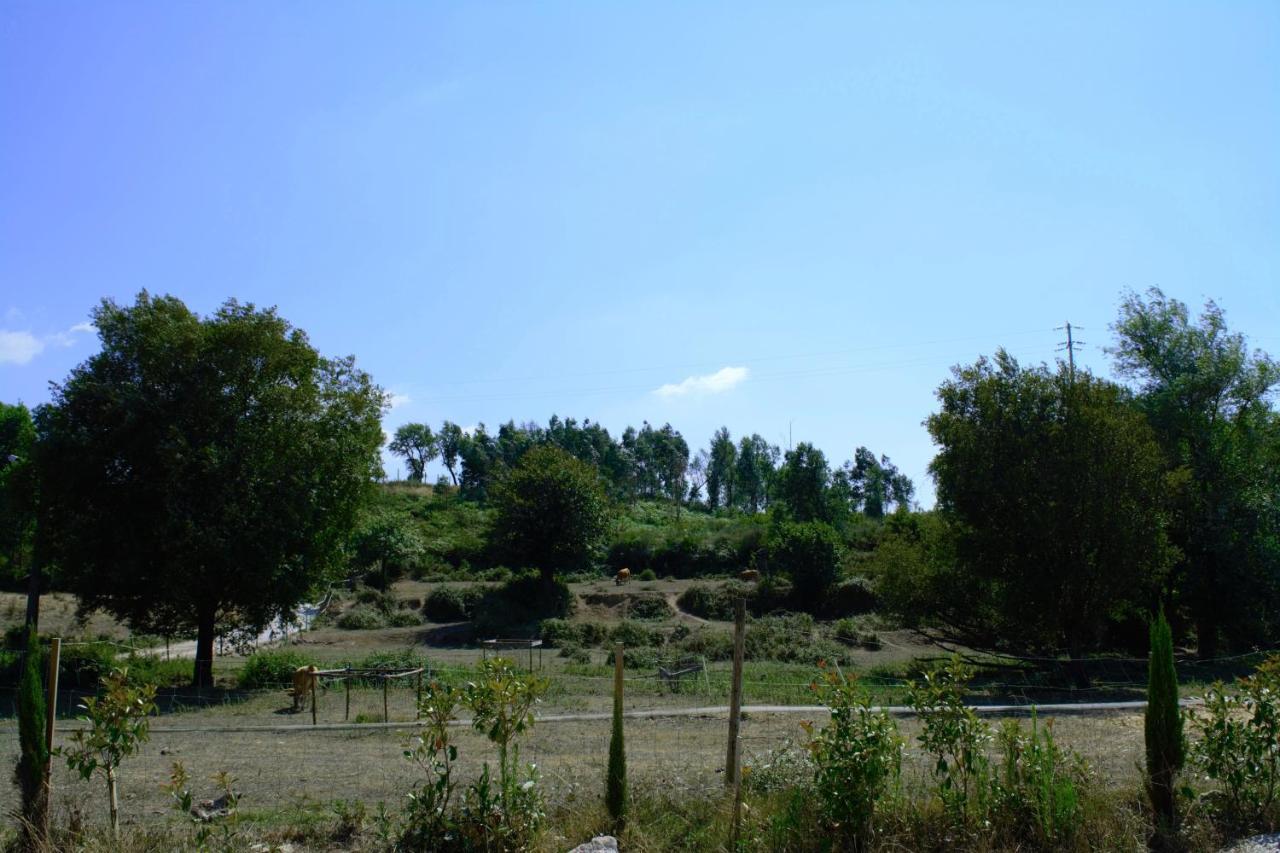 Quinta Castanheira *
